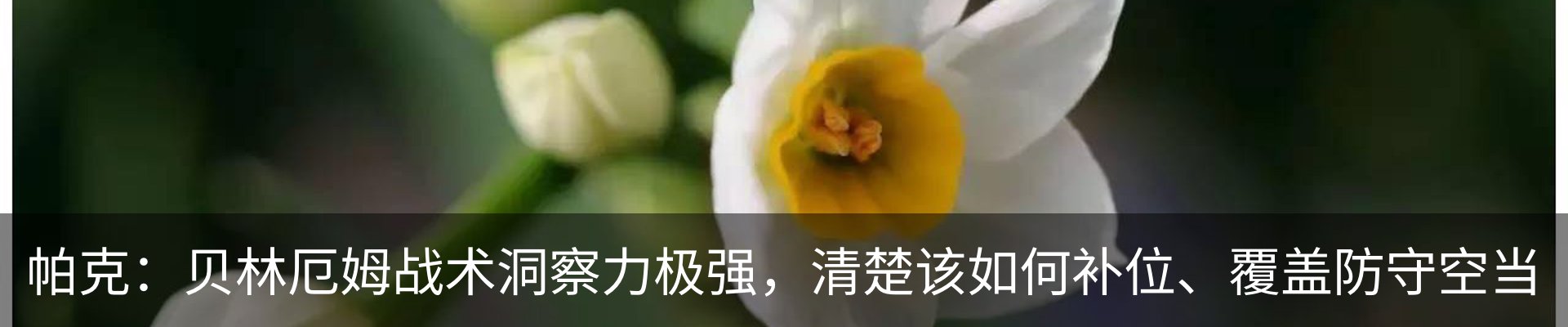 资讯动态